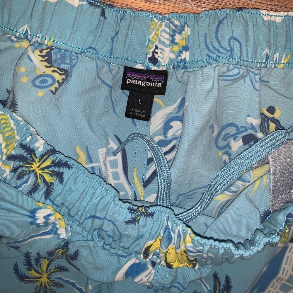 Patagonia Barely Baggies 2 1/2”